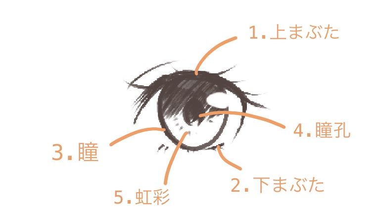 目のパーツ
